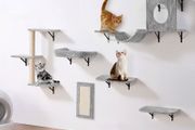 Wall Mounted Cat Shelves Tree with Jump Boards Hammock Sofa Grip Set of 6