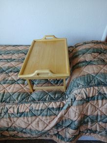 tray, multipurpose laptray
