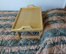 tray, multipurpose laptray