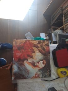 Vinyl.enya.