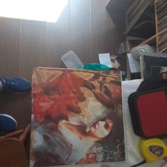 Vinyl.enya.