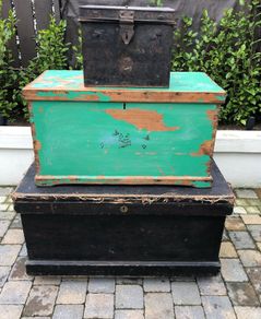 Vintage pine trunks