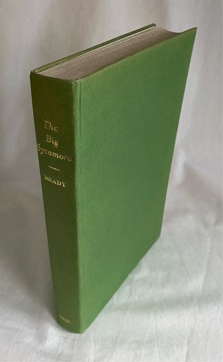 Joseph Brady - The Big Sycamore