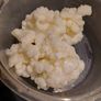 Milk kefir grains Image 3