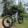 SHENGMILO S600 2000W Dual Motor Electric Bike Image 3