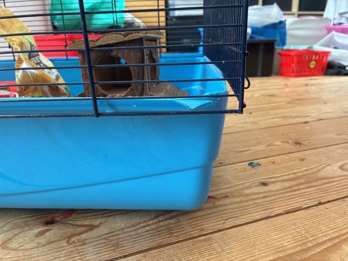 Large hamster cage & accessories