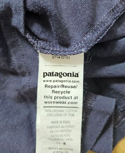 Boys Patagonia t-shirt