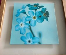 3D Floral Picture