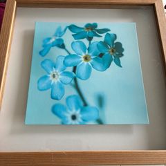 3D Floral Picture