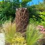 4ft+ Dicksonia Antartica tree fern thick trunk Image 9