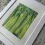 Watercolour - Stacked Courgettes Image 2