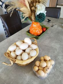 Duck Eggs