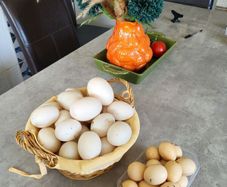 Duck Eggs