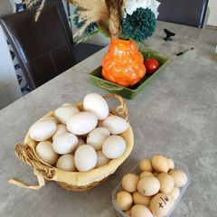 Duck Eggs