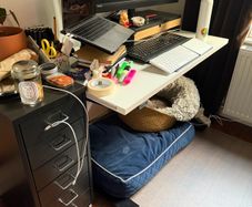 Sit and stand desk 100x60cm