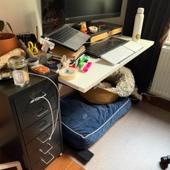 Sit and stand desk 100x60cm