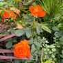 garden plants Image 6