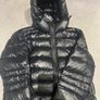canada goose Image 2