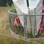 Sheep round feeder Image 2