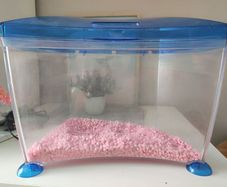 Fish tank
