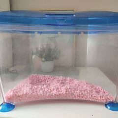 Fish tank