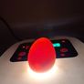 3 gold sebright chicks Image 4