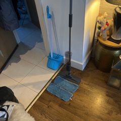 Dustpan and Mop