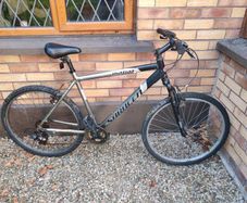 Adult Mountain bike