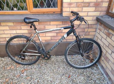Adult Mountain bike