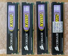 ram