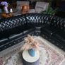 chesterfield corner sofa+anne queen armchair Image 5