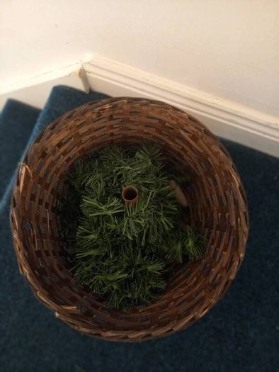 Christmas tree