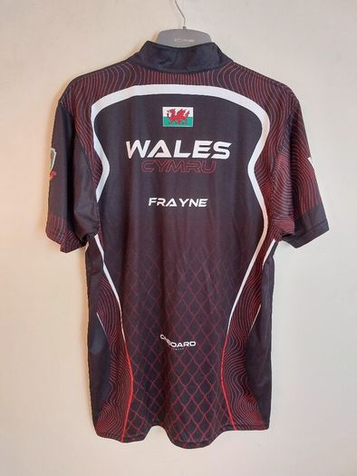 Wales pool jersey