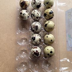 Fertile quail eggs