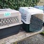 200 Series Transport Crates for Cats - IATA Pet Travel Kennels Image 10