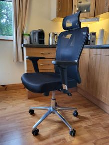 Ergonomic Office Chair