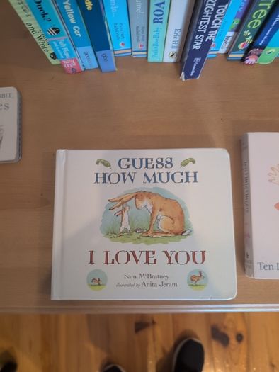 30+ Kids Board Books