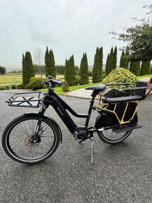 Riese & Muller Multicharger2 electric bike