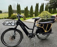 Riese & Muller Multicharger2 electric bike