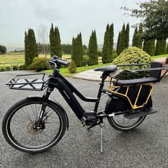 Electric bike