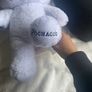 Sanrio Build a bear Teddy Image 3