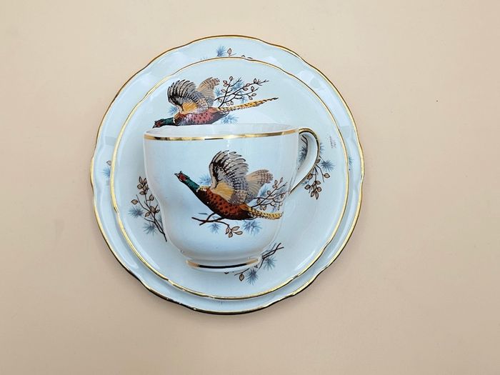 Vintage Arklow  pheasant pattern coffee set