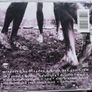 Pearl Jam - VS CD Image 2