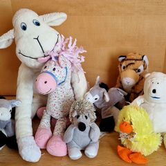 Selection of cute animals