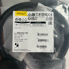 Jabra Evolve 20