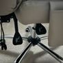 Office Chair Image 4