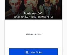 Fontaines DC SLANE 2027