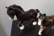 Two Clydesdale Horses