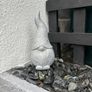 Garden gnome Image 3