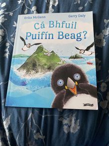 Irish language children's book